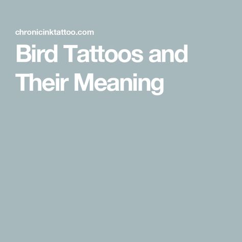 Bird Tattoos and Their Meaning Meaning Of Bird Tattoos, Tiny Hawk Tattoo, Chickadee Tattoo Meaning, Bird Meanings Tattoo, Bluebird Tattoo Meaning, Small Bird Tattoos For Women, 3 Bird Tattoos For Women, Bird Branch Tattoo, Bird Meanings