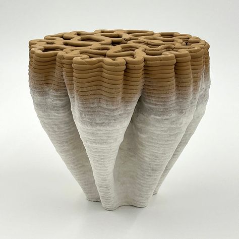 bioMATTERS combines mycelium, clay and industrial waste to 3D print vessels and bowls Short Coats Women, Traditional Baskets, Industrial Waste, 3d Printed Objects, Generative Design, Clay Studio, Clay Bowl, Inside And Outside, Earthenware Clay