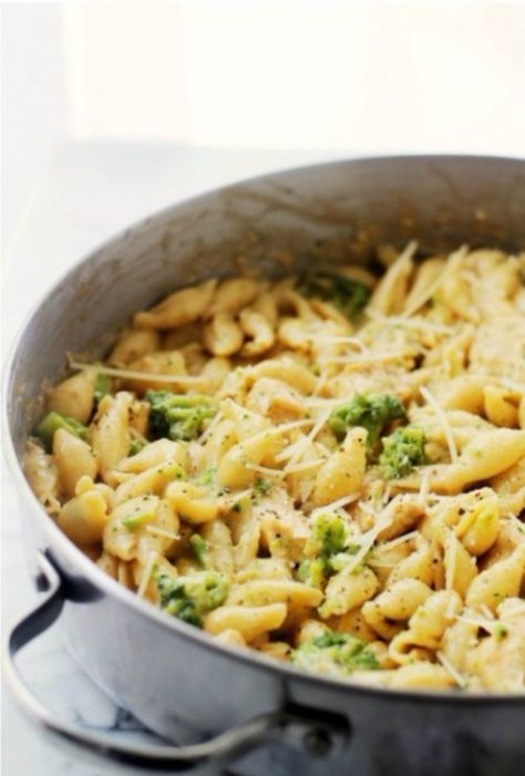 Chicken Broccoli Shells, Broccoli Shells And Cheese, Shells And Cheese Recipe, Shells And Cheese, Luncheon Menu, Chicken Broccoli Pasta, Cheesy Broccoli Casserole, Cheese Stuffed Shells, Cheesy Broccoli