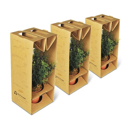 Red Dot Design Award: Eco Plant Eco Packaging Design, Corrugated Packaging, Packaging Food, Packaging Design Trends, Packaging Ideas Business, Eco Packaging, Plant Box, Box Packaging Design, Red Dot Design