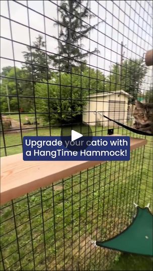 6.5K views · 65 reactions | Turn your catio into a Purradise with a hammock! 😻

#catiosmakehappycats #catloversclub #catios #cats #catsoffacebook #catiolife | Habitat Haven | Habitat Haven · Original audio Make Happy, Hammock, Habitat, Cat Lovers, Audio, Turn Ons, The Originals