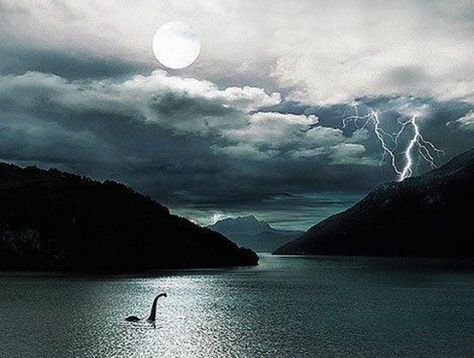 Monster Photos, Loch Ness Monster, Loch Ness, Pinturas Disney, Sea Monsters, Google Earth, British Isles, Mythical Creatures, Outlander