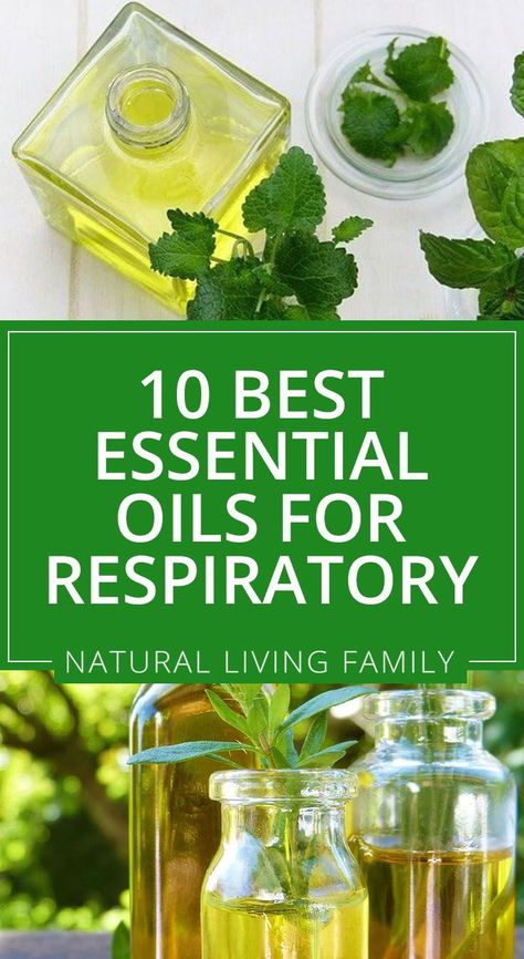 Oils For Respiratory Infection, Respiratory Oil Blend, Essential Oils Respiratory Support, Doterra Oils For Bronchitis, Respiratory Essential Oil Diffuser Blend, Essential Oils To Help Breathing, Essential Oils For Bronchitis Diffuser, Essential Oils For Bronchitis Cough, Respiratory Essential Oil Blend