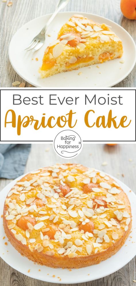 Austrian Apricot Cake, Almond And Apricot Cake, Apricot Pudding Recipe, Almond Apricot Cake, Apricot Preserves Dessert, Recipes For Fresh Apricots, Desserts With Apricots, German Apricot Cake, Apricot Fruit Cake