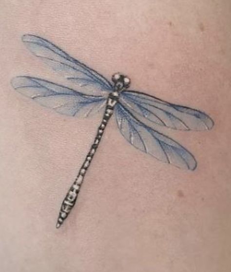 Iridescent Dragonfly Tattoo, Side View Dragonfly Tattoo, Blue Dragon Fly Tattoo, Colorful Dragonfly Tattoo, Dragonfly Tattoo Color, Blue Dragonfly Tattoo, Dragonfly Tattoo Ideas, Dragonfly Tattoos, Pictures Of Tattoos