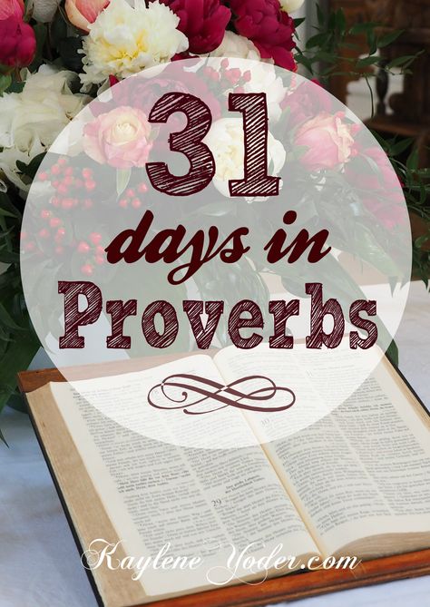 31 Days in Proverbs ~ A great 31 day devotional series to strengthen your faith! Pray Journal, Happily Single, Bible Study Tips, Favorite Scriptures, Prayer Box, Bible Study Journal, Bible Devotions, Prayer Scriptures, Scripture Study