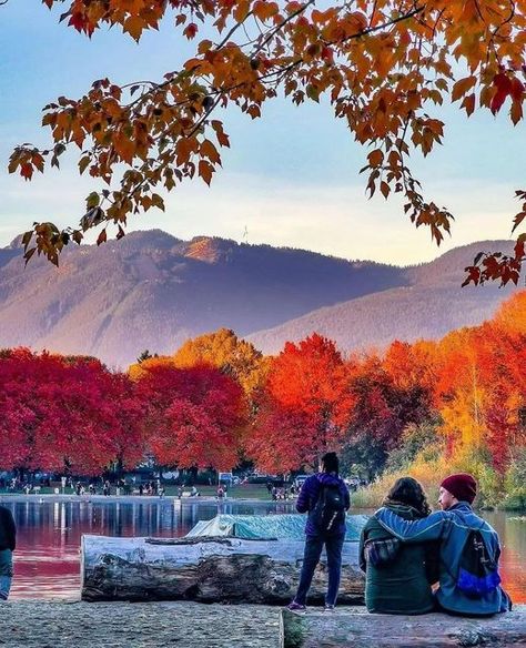 Vancouver BC Canada 🇨🇦 Travel | Hotels | Food | Tips on Instagram: "Autumn vibes will always be the best in Vancouver !🍂😍 🏷Which one is you favorite? 📷: Credits 1. @zeke.vancity 2. @cktkwok 3. @caspertrips 4. @_j.mike 5. @cktkwok 📍Vancouver B.C 🇨🇦 #vancouver #vancity #bc #britishcolumbia #canada #autumn #autumnvibes #autumncolors #fall #fallcolors" Vancouver Canada Food, Canadian Autumn, Canada Autumn, Trout Lake, Canada Vancouver, Vancouver Bc Canada, Hotel Food, Instagram Autumn, Bc Canada