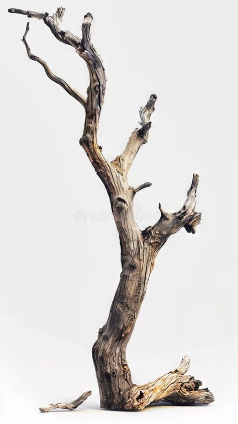 A tree with no leaves and branches stock photo Tree Branch Aesthetic, Cut Down Tree Ideas, Tree Branches Photography, Tree No Leaves, Tree With No Leaves, Walter Pichler, Tree Without Leaves, Baby Room Paintings, Cherry Branch