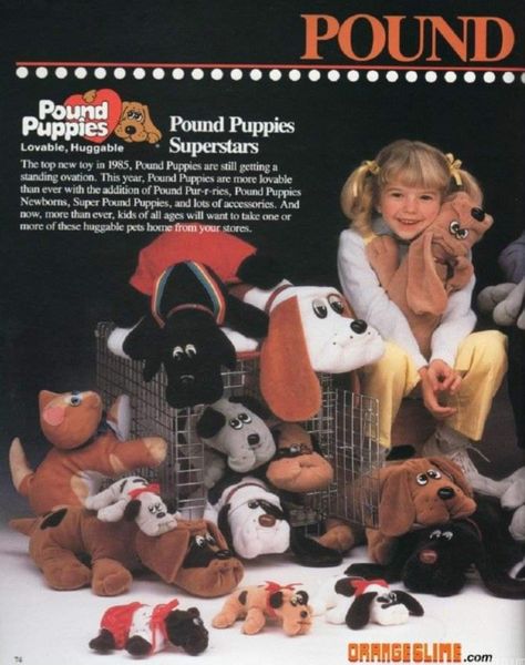 Pound Purries, Puppies Stuff, 80’s Toys, 1980s Childhood, Regency Era Fashion, Pound Puppies, 80s Era, Amanda Rose, Era Fashion