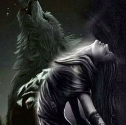 Wolf Meme, Alpha Werewolf, Wolf Images, Alpha Wolf, Wolf Pictures, Alpha Female, 웃긴 사진, Silly Images, Lone Wolf