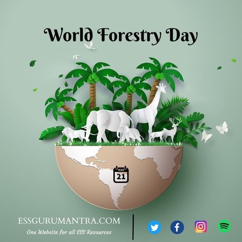 Forests help us cope up with the climatic changes that are taking place around us. Let us protect them to save our planet. essgurumantra.com wishing you Happy Forestry Day🌴🌳. #IB #IBESS #ESS #essgurumantra #forest #forestryday #WorldForestDay #climate #forests World Forestry Day, Animation Career, World Wildlife Day, World Animal Day, Animal Day, Wildlife Day, Forest Department, Cosmetic Creative, Sell My House Fast