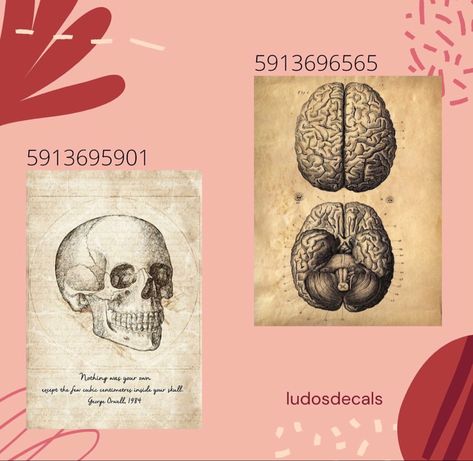 Aesthetic Id Codes For Bloxburg, Realistic Carpet Bloxburg, Dvd Bloxburg Codes, Goth Roblox Decal Id, Bloxburg Biology Decals, Roblox Decal Codes Vintage, Bloxburg Horror Movie Decals, Bloxburg Medical Decals, Doctor Decals Bloxburg