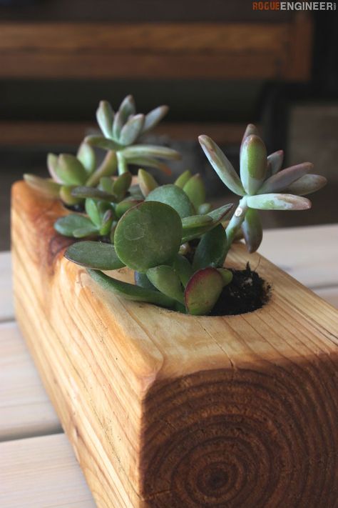 DIY Scrap Wood Succulent Planter  - Free Plans | rogueengineer.com #SucculentPlanter #OutdoorDIYplans Diy Scrap Wood, Kaktus Dan Sukulen, Wood Succulent Planter, Intarsia Wood Patterns, Scrap Projects, Succulent Planter Diy, Scrap Wood Crafts, Wooden Planter, Funky Junk Interiors