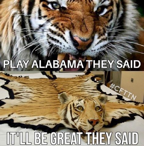 Iron Bowl Humor, Iron Bowl, Bama Football, Crimson Tide Football, The University Of Alabama, Sports Hero, Football Memes, Alabama Football, University Of Alabama