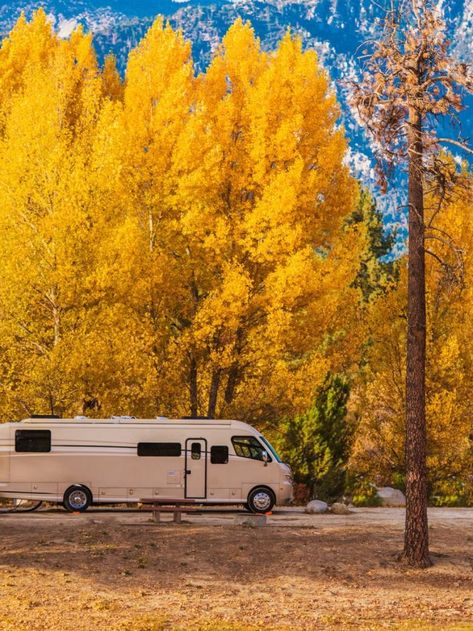 10 Best RV Camping Parks in Northern California - Sarah Scoop Grand Canyon Las Vegas, Rv Water Tank, Rv Lots, Rv Resorts, Camping Park, Rv Water, Truck Campers, Best Campgrounds, Rv Tips