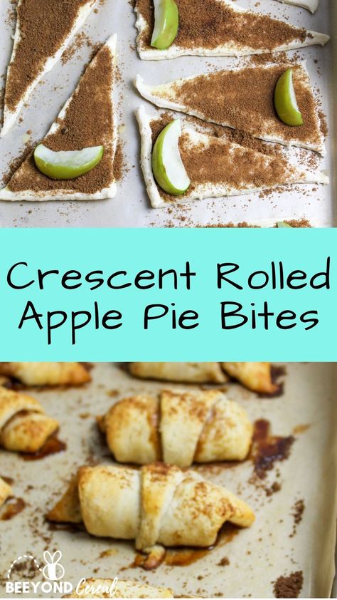 Crescent Roll Apple Pie, Apple Crescent, Apple Crescent Rolls, Apple Pie Crescents, Brown Sugar Pecans, Crescent Roll Recipe, Crescent Roll Dessert, Sugar Pecans, Apple Pie Bites