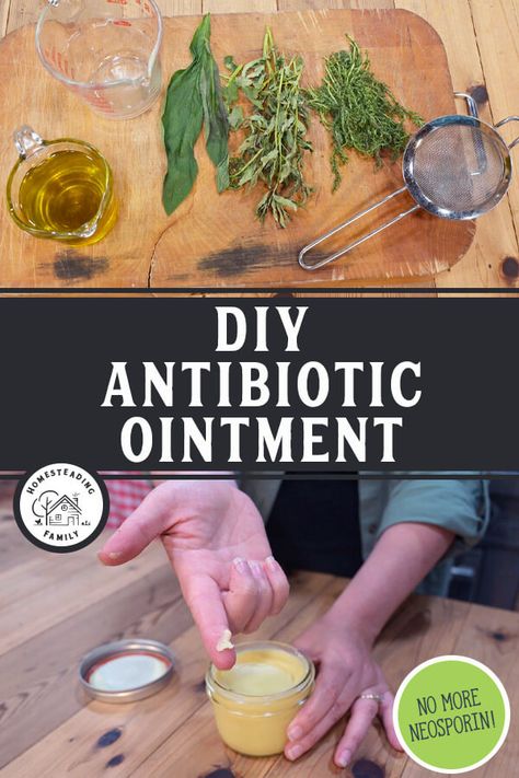 Ditch over-the-counter Neosporin and make your own healthy and soothing antibiotic ointment at home! This easy DIY is the perfect use for those home-grown medicinal herbs (or easily use dried herbs you can buy in bulk). Homemade Antibiotic, Antibiotic Ointment, Diy Medicine, Herbal Medicine Recipes, Herbal Remedies Recipes, Diy Herbal Remedies, Medicinal Herbs Garden, Immune Boosting Foods, Herbal Recipes