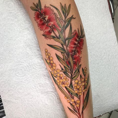 Australian Bottle Brush, Australian Wildlife Tattoo, Wattle Flower Tattoo, Australia Native Flower Tattoo, Native Flower Tattoo Australian, Australian Wattle Tattoo, Australian Bush Tattoo, Australian Fauna Tattoo, Australian Native Floral Tattoo