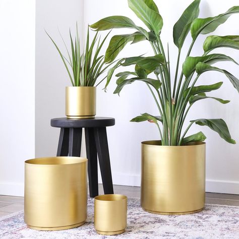 Brass Metal Planter Diy Planters Indoor, Nail Art Flower, Gold Planter, Large Indoor Plants, Metal Flower Pots, Easy Plants To Grow, Brass Planter, Plant Stand Indoor, Modern Planters