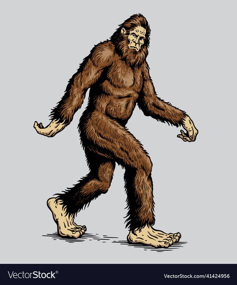 Bigfoot Drawing, Bigfoot Video, Dover Demon, Sasquatch Funny, Bigfoot Stories, Bigfoot Pictures, Yeti Bigfoot, Bigfoot Art, Finding Bigfoot