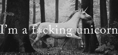 Year of the f*cking unicorn I Am A Unicorn, Facebook Cover Images, Real Unicorn, Oh My Goddess, Fb Cover Photos, Fb Cover, She Wolf, Fb Covers, Cover Pics