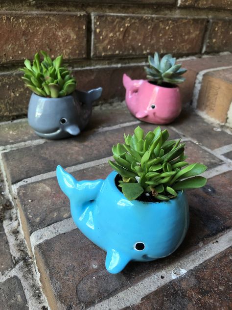 Whale Planter, Pink Whale, Animal Planters, Small Succulents, Metal Planters, Ceramics Ideas Pottery, Planter Pots Indoor, Denver Co, Succulent Planter