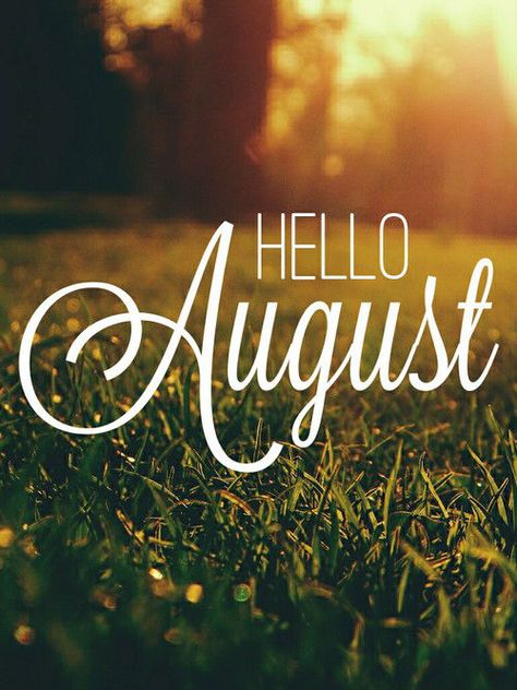 August Hallo August, Hello August Images, New Month Wishes, August Pictures, August Images, Neuer Monat, August Quotes, August Wallpaper, Hello August