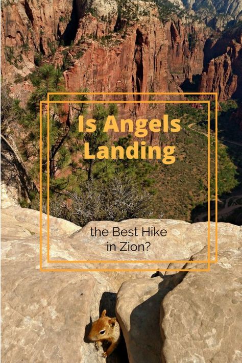 Hiking Angels Landing Zion #Zion #Utah #ZionNationalPark #Hiking Angels Landing Zion, Zion National Park Hikes, Angels Landing, Hiking National Parks, National Park Vacation, Utah Travel, Hiking Destinations, National Parks Usa, Utah National Parks