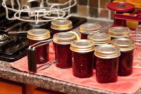 Razzleberry Jam, Blackberry Puree, Raspberry Bushes, Raspberry Bush, Can Jam, Canning 101, Jam And Jelly, Jams & Jellies, Jam Recipes