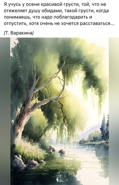 Watercolor Willow Tree, A Willow Tree, Watercolor Scenery, Tree Watercolor Painting, Abstract Tree Painting, Watercolor Art Landscape, Watercolor Paintings Nature, Watercolor Paintings For Beginners, Landscape Watercolor