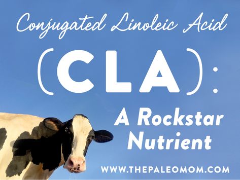 Conjugated Linoleic Acid (CLA): A Rockstar Nutrient Cla Benefits, The Paleo Mom, Fruit Nutrition Facts, Paleo Mom, Autoimmune Protocol, Healthy Brain, Linoleic Acid, Chronic Condition, Cardiovascular Disease