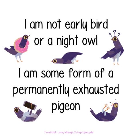 I Am Not An Early Bird Or A Night Owl, If You’re A Bird I’m A Bird, Exhausted Pigeon, Permanently Exhausted Pigeon, Owl Meme, Pigeon Meme, Bird Memes Hilarious, Lol Funny, Watercolour Illustration