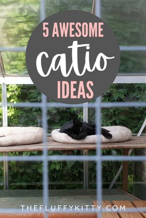 CATIOS! 5 Awesome Cat Outdoor Play Area Ideas - Fluffy Kitty Diy Catios For Cats Apartment, What To Put Inside Catio, Garage Cat Enclosure, Catio Cat Furniture, Catio Plans Diy Easy, Cat Skywalk, Window Catio Ideas For Cats Outdoor, How To Build A Catio For Cats, Cat Patio Ideas