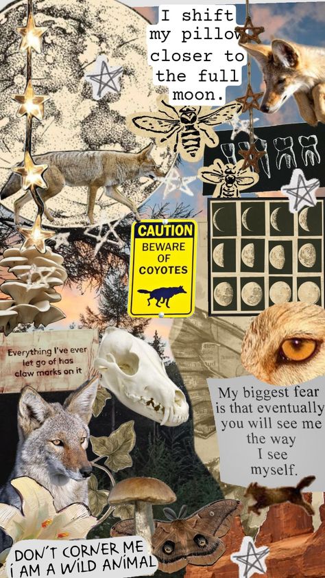 first time making a mood board like this! #coyotetherian #coyote #therianthropy #therian #moodboards #therianwallpaper Coyote Therian Wallpaper, Animal Mood Boards Aesthetic, Coyote Therian Aesthetic, Demihuman Oc, Therian Moodboard, Therian Coyote, Coyote Aesthetic, Coyote Wallpaper, Therian Tips