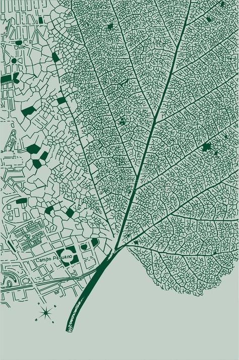 Tree Typography Design, Patterns In Nature Drawing, Urban Design Graphics Illustration, Ecological Landscape Design, Green Growth Aesthetic, All Green Tattoo, Nature Graphics Design, Urban Ecology Design, Map Design Inspiration