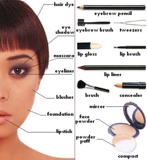 Make-up and Cosmetics Vocabulary in English 2 English Nouns, Chart Sheet, Makeup Names, Diy Cactus, Visual Dictionary, Italian Language Learning, British Council, English Vocab, French Vocabulary