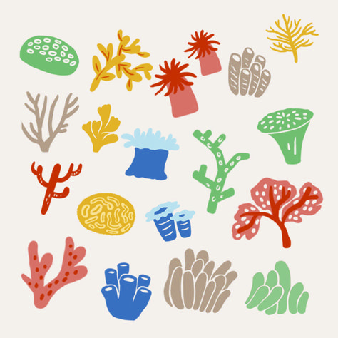 Coral Reefs Illustration, Coral Illustration Design, Coral Graphic Design, Corals Illustration, Coral Illustration, Ocean Illustration, Sea Artwork, Tropical Illustration, Sea Illustration