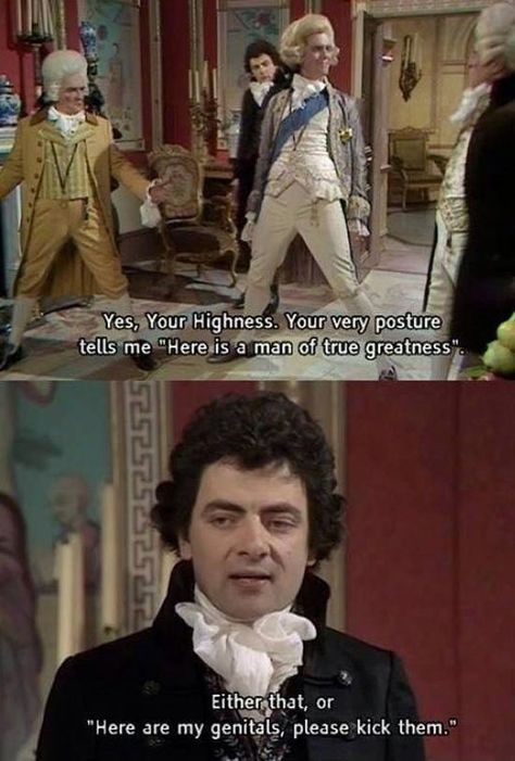 Black Adder, The Bigbang Theory, Rowan Atkinson, British Humor, Hugh Laurie, British Comedy, Monty Python, Animal Jokes, Comedians