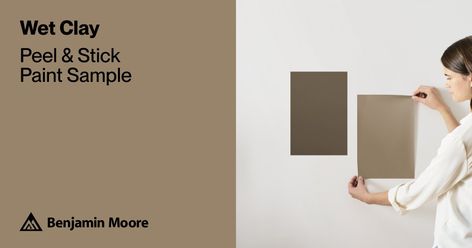 Wet Clay (CSP-1045) | Benjamin Moore | Samplize Peel and Stick Paint Sample Tv Nook, Picking Paint Colors, Revere Pewter Benjamin Moore, Tan Paint, Coriander Seed, Grass Painting, Choosing Paint Colours, Kitchen Mood Board, Choosing Paint