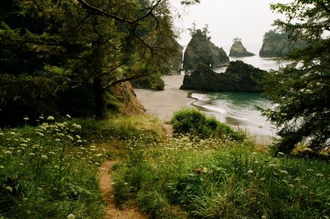 Oregon Aesthetic, Coast Aesthetic, Oregon Living, Ancient Forest, Oregon Travel, On Film, Oregon Coast, Photography Inspo, Pacific Northwest