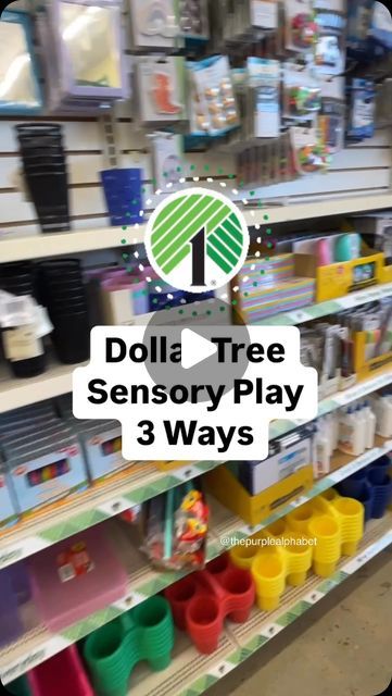 Christina /The Purple Alphabet - Learning, Play Ideas, Sensory on Instagram: "Making sensory bins using Dollar Tree materials. I’m showing you variations of sensory bins using similar materials that I have at home plus a few from Dollar Tree. Mix and match the supplies for variations on your sensory play. 

#DollarTreeFinds #SensoryBin #SensoryPlay #DIYActivities #KidsActivities #BudgetFriendly #CraftingOnABudget #DollarTreeCrafts #SensoryLearning #HandsOnLearning #EducationalPlay #CreativePlay #Homeschooling #EarlyChildhoodEducation #playtolearn" Sensory Bins For Classroom, Montessori, Small Sensory Bin Ideas, Sensory Shelf Ideas, 3rd Grade Sensory Bins, Dollar Tree Busy Bags Toddler, Sensory Tables Ideas, Make Your Own Sensory Bin, Dollar Tree Fall Sensory Bin