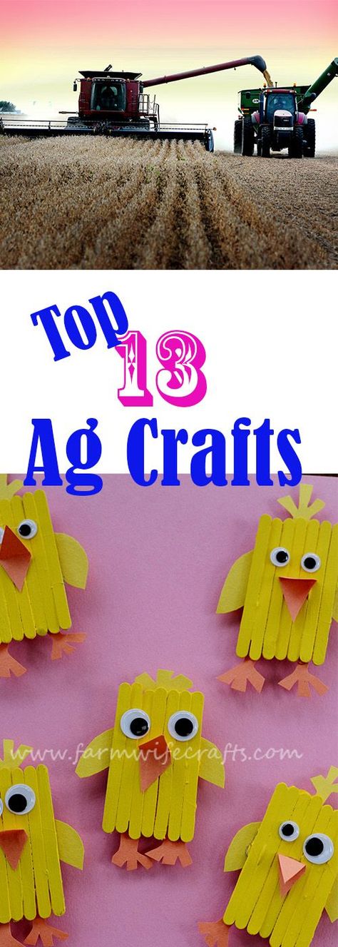 Agriculture Education Activities, Ag Club, Kids Educational Crafts, Ag In The Classroom, Ffa Ideas, Ag Day, Farm Animal Crafts, Farm Craft, Crafts Ideas For Kids