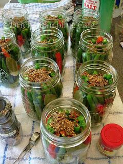 Spicy Pickled Green Beans | Drick's Rambling Cafe Spicy Pickled Green Beans Jalapeno, Spicy Pickled Beans, Spicy Pickled Green Beans, Pickled Green Bean Recipes, Spicy Green Beans, Pickled Foods, Pickled Green Beans, Dilly Beans, Pickled Peppers