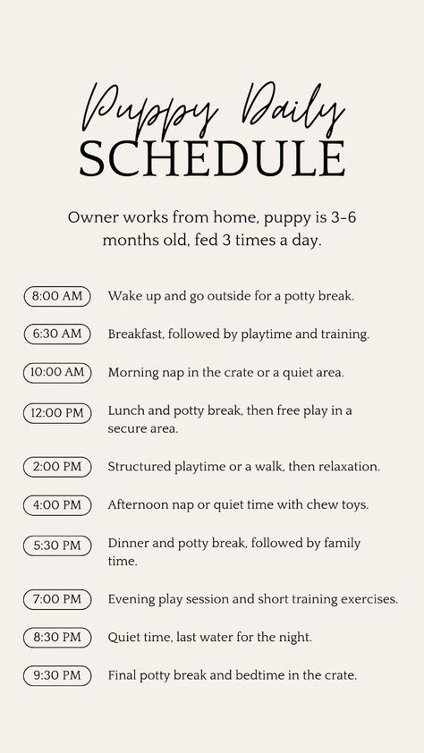 4 Month Puppy Schedule, Puppy Preparation List, Things To Know Before Getting A Puppy, Introducing Puppy To Dog, Puppy Schedule 12 Weeks, Puppy Schedule 8 Week Old, New Puppy Schedule, Dog Training Schedule, Dachshunds Puppy