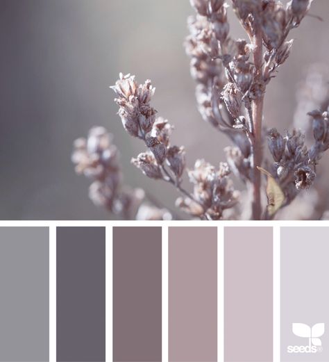 Color Nature | design seeds | Bloglovin’ Bilik Air, Seeds Color, Color Schemes Colour Palettes, Grey Color Scheme, Room Color Schemes, Bedroom Color Schemes, Design Seeds, Bedroom Paint, Bathroom Colors