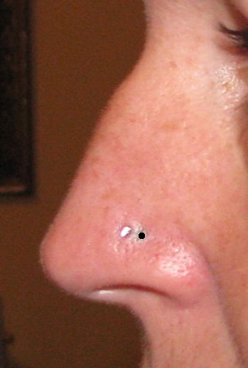 Nostril Piercing Placement, Nose Ring Placement, Nose Piercing Stud Placement, Nostril Piercing Ring, Front Helix Piercing, Nose Piercing Placement, Nose Piercing Nostril, Piercing Placement, Nose Peircing