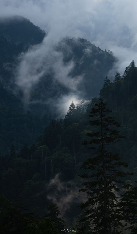 This long exposure photograph captures the serenity of drifting clouds in Great Smoky Mountains National Park Appalation Mountains, Foggy Mountain Aesthetic, Gloomy Fall Aesthetic, Evergreen Mountains, Beautiful Pictures Of Nature, Alaska Aesthetic, Aesthetic Mountains, Dark Mountains, Mountain Aesthetic