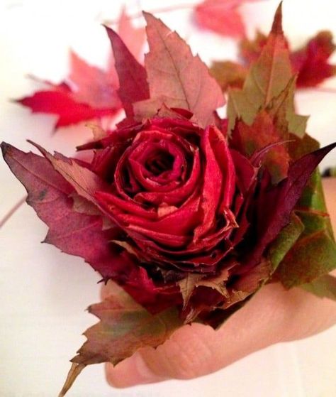 Watch Sisters Know Best's video to make your own bouquet of roses. Easy and fast project that gives fantastic results! We share how to preserve your roses as well. Make a memory of your special fall place! #SistersKnowBest #LeafRose #FallLeafRose Bouquet Tips, Leaf Roses, Make Your Own Bouquet, Leaf Projects, Fall Decor Diy Crafts, How To Make Rose, Diy Leaves, Easy Fall Crafts, Rose Video