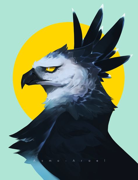 Harpy Eagle, Eagle Drawing, Eagle Art, Oc Art, Fantasy Creatures Art, Mythical Creatures Art, Creature Concept Art, Animal Sketches, Creature Art