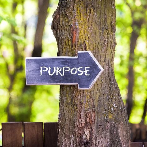 Take the purpose quiz to find out how strong your sense of purpose is and ways you can strengthen it. 💪 Sense Of Purpose, Life Satisfaction, Purpose In Life, Steps To Success, Achieving Goals, Forest Art, Great Life, Life Purpose, School Projects